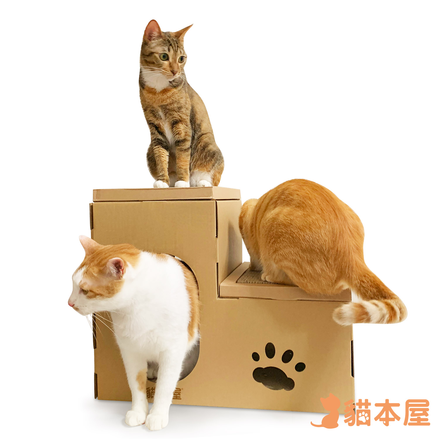 貓本屋 豪華版雙層貓抓板寵物貓屋(板芯可換)